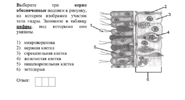 Kra32.at