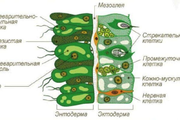 Удалился аккаунт кракен