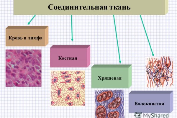 Кракен онион зеркала зеркало