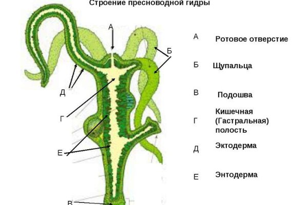 Ссылка кракен vtor run